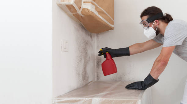 Professional Mold Remediation technician working in Bellevue, MI