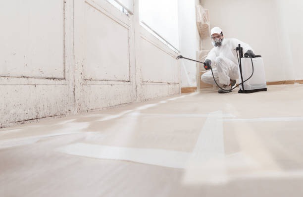 24/7 Emergency Mold Remediation experts in Bellevue, MI