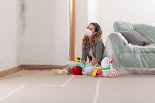 Reliable Mold Remediation contractor in Bellevue, MI by Cheap Mold Removal
